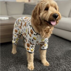 NWT Berkshire Snoopy Peanuts Halloween Pumpkin Dog Pajamas Soft Sz L